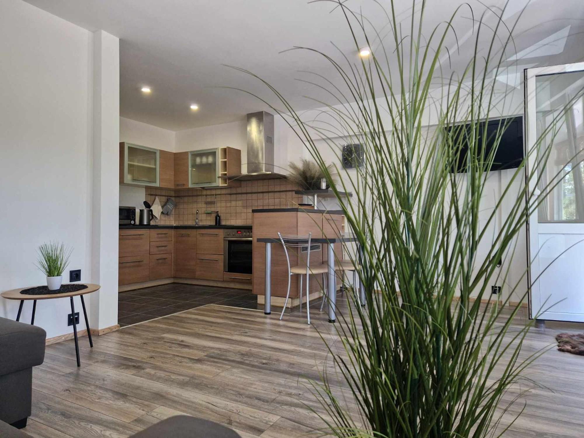 Duplex Apartment Vilte 드루스키닝카이 외부 사진